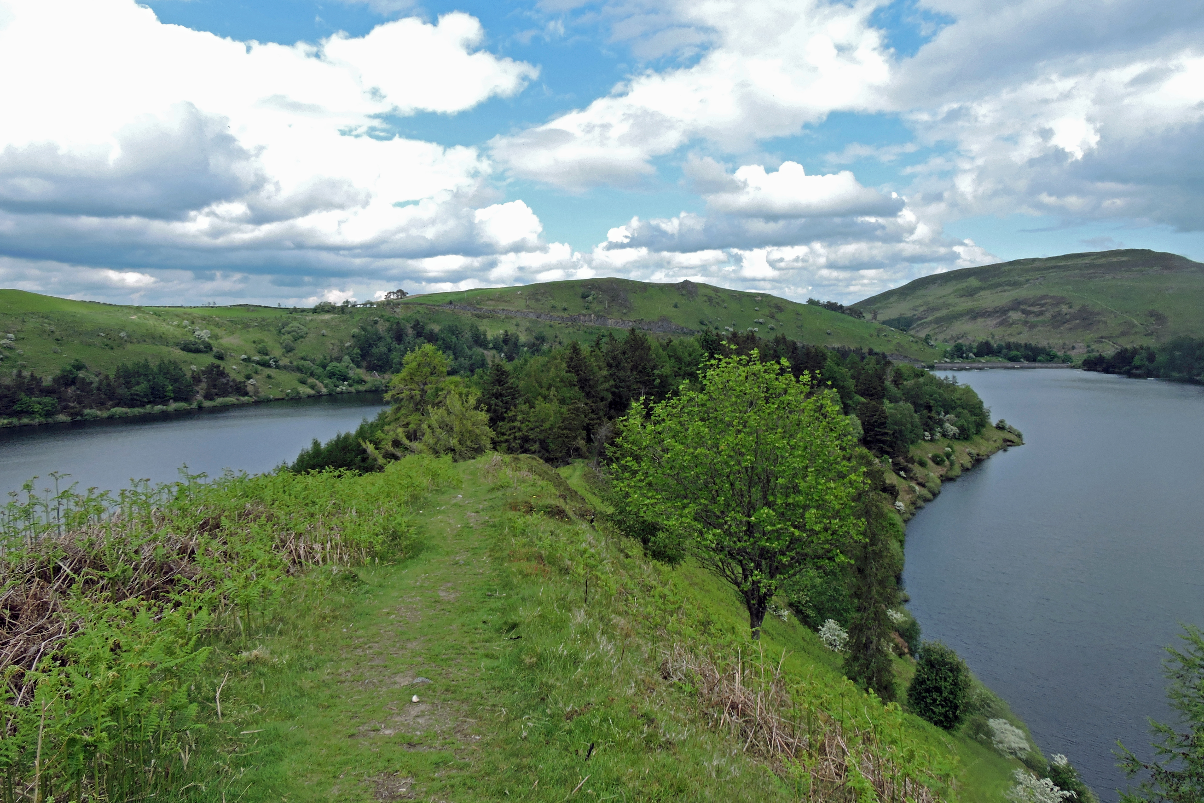 ANOTHER VIEW OF THE CLYWEDOG Bill Bagley Photography